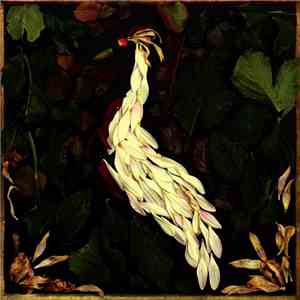 Audrey Assad - Fortunate Fall FLAC