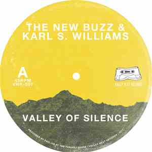 The New Buzz - Valley of Silence FLAC