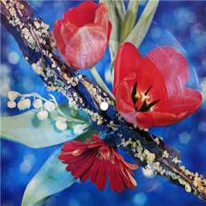 Bonny M. - No Woman No Cry FLAC