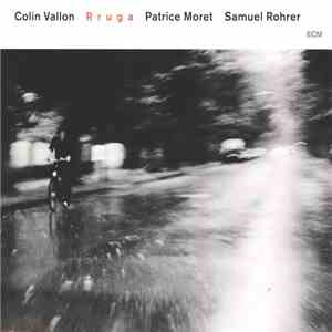 Colin Vallon Trio - Rruga FLAC
