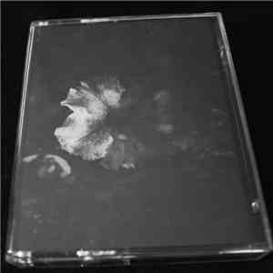Introversion  - Grau FLAC