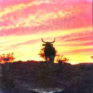 The Flying X Ranch Hands - Cactus Trails FLAC