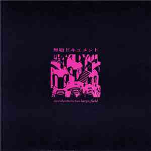 Accidents In Too Large Field - 無題ドキュメント FLAC