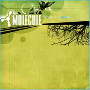 Molecule  - Workshop FLAC