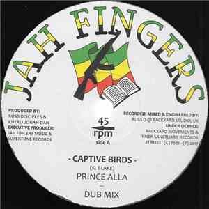 Prince Alla - Captive Birds / Nuclear Race FLAC