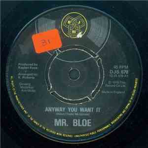 Mr. Bloe - Anyway You Want It / One More Time FLAC