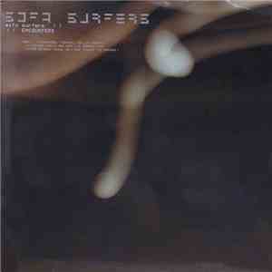 Sofa Surfers - Encounters FLAC