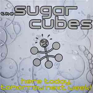 The Sugarcubes - Here Today, Tomorrow Next Week! FLAC