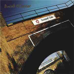 Sinéad O'Connor - This Is To Mother You FLAC
