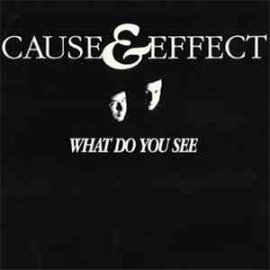 Cause & Effect - What Do You See FLAC