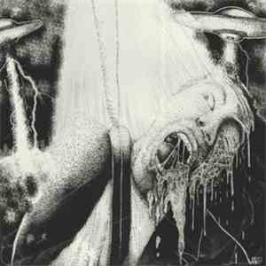 Colombian Necktie / Seizures - Colombian Necktie / Seizures FLAC