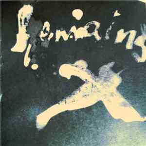 Danny McGirr  - Remains FLAC