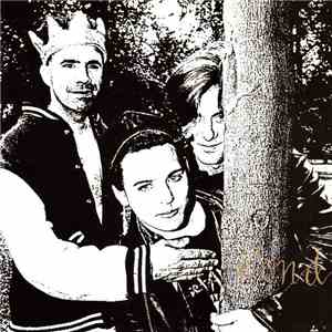 Pond  - Wheel FLAC