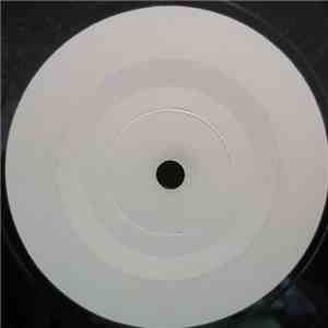 Pretenders - Never Do That FLAC