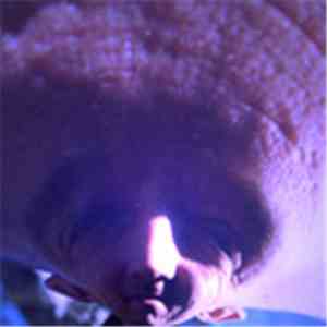 A Bit Crusher - Do It, Please (Shake Hands) FLAC