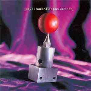 Joey Baron - RAIsed Pleasure Dot FLAC