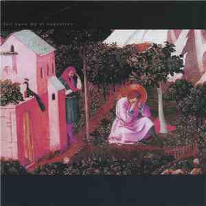 St Augustine - Fall Upon My Saint - Fall Upon My St Augustine FLAC