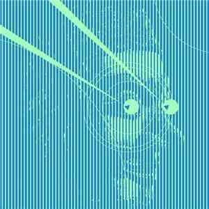 Sulumi - Call Black White (Sulumi Remix) FLAC