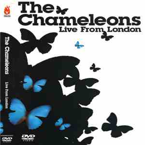 The Chameleons - Live From London FLAC