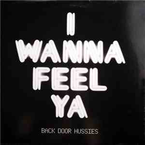 Back Door Hussies - I Wanna Feel Ya FLAC