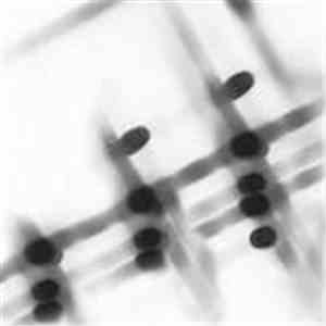 Gregor Samsa  - 27:36 FLAC