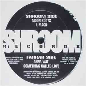 Unknown Artist - Amorphic Disco FLAC