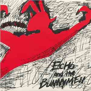 Echo And The Bunnymen - Pictures On My Wall FLAC