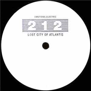 Unknown Artist - 313 / 212 FLAC
