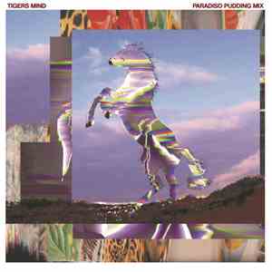Tigers Mind - Paradiso Pudding Mix FLAC