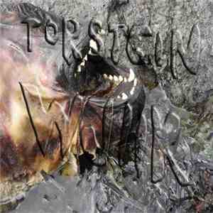 Torstein Wjiik - Judgement Day FLAC