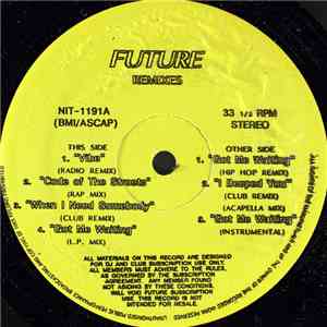Various - Future Remixes FLAC