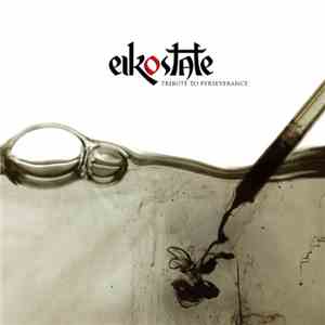 Eikostate - Tribute To Perseverance FLAC