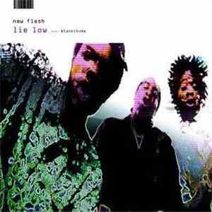 New Flesh - Lie Low FLAC