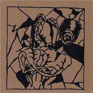 The Maples , The C-Section Babies - Split 7" FLAC