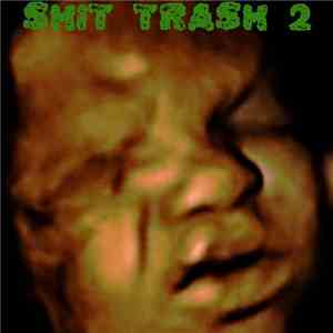 Various - Shit Trash 2 FLAC