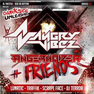 Angernoizer + Friends - Angry Vibez #2 FLAC