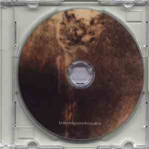 Bardoseneticcube - The Sacral Member FLAC