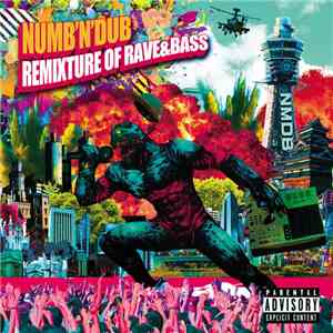 Numb 'n' Dub - Remixture Of Rave & Bass FLAC