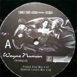 Wayne Numan - Entangled FLAC