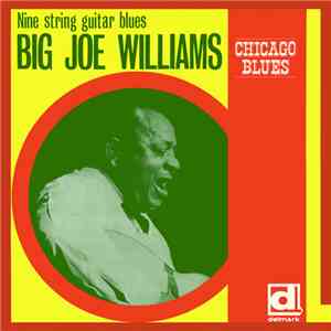 Big Joe Williams - Nine String Guitar Blues FLAC
