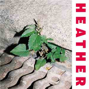Heather  - Inside FLAC