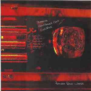 Pictures Paint Words - Sunshine FLAC