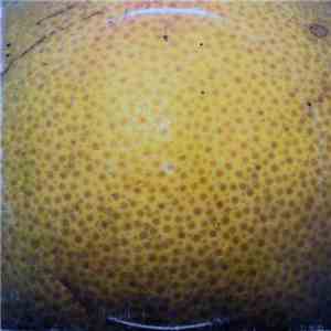The Coctails - Peel FLAC