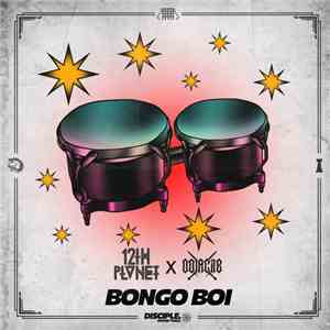12th Planet & Oolacile - Bongo Boi FLAC