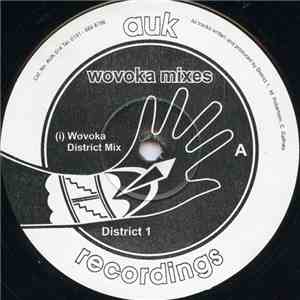 District 1 - Wovoka Mixes FLAC