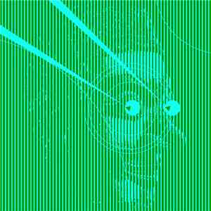 Sulumi - Call Black White (Janski Beeeats Remix) FLAC
