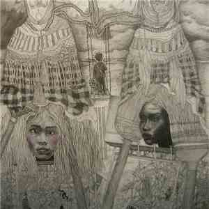 Tilly And The Wall - Defenders FLAC