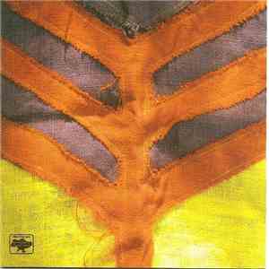 Yeah Yeah Yeahs - Show Your Bones FLAC