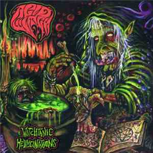 Acid Witch - Witchtanic Hellucinations FLAC