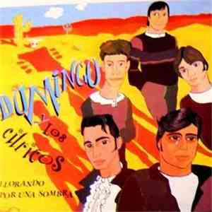 Domingo y Los Cítricos - Nena No Hay Nada Mejor FLAC